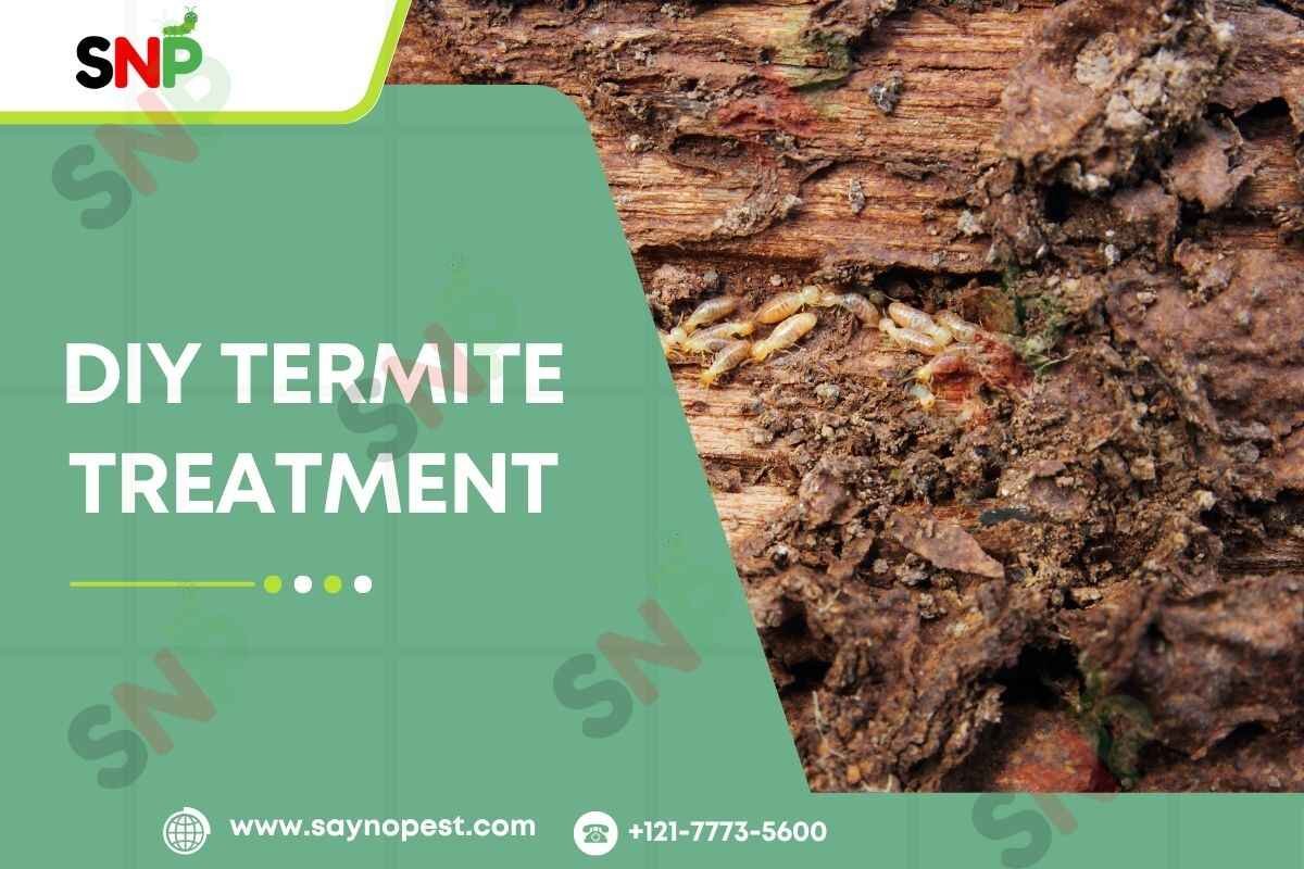 DIY Termite Treatment : Complete Guide for American Homeowners