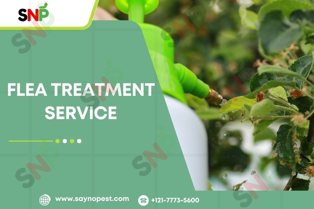 Why Choose a Flea Treatment Service