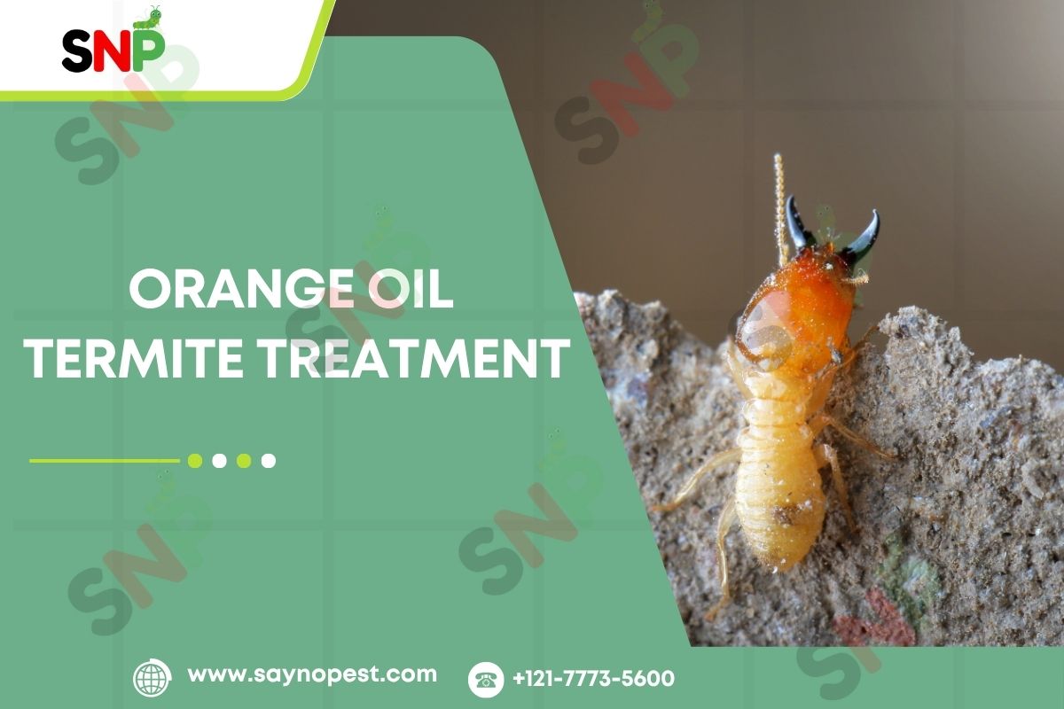 Orange Oil Termite Treatment: A Natural Solution