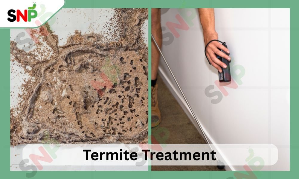 TERMITES-TREATMENT