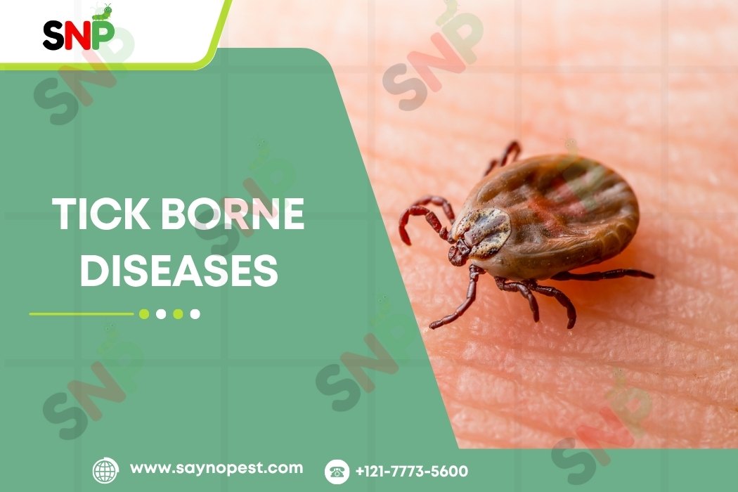 Tick Borne Diseases: 10 Threats You Must Know