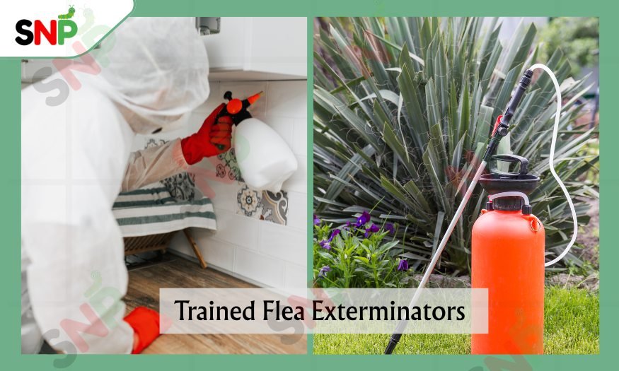 Trained-Flea-Exterminators