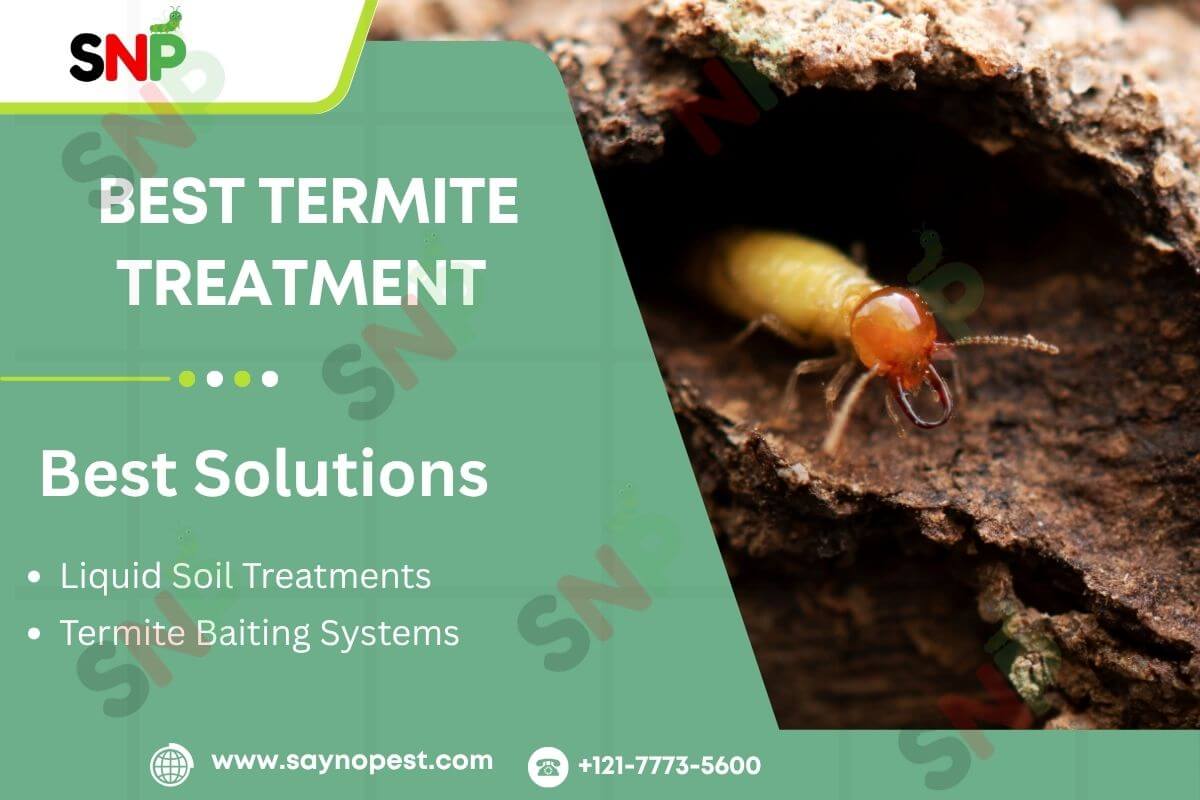 Best Termite Treatment: Your Guide to Protecting Your Home