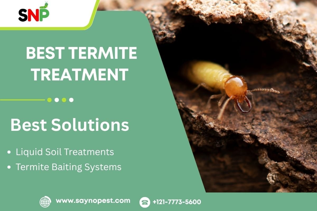 Best Termite Treatment: Your Guide to Protecting Your Home