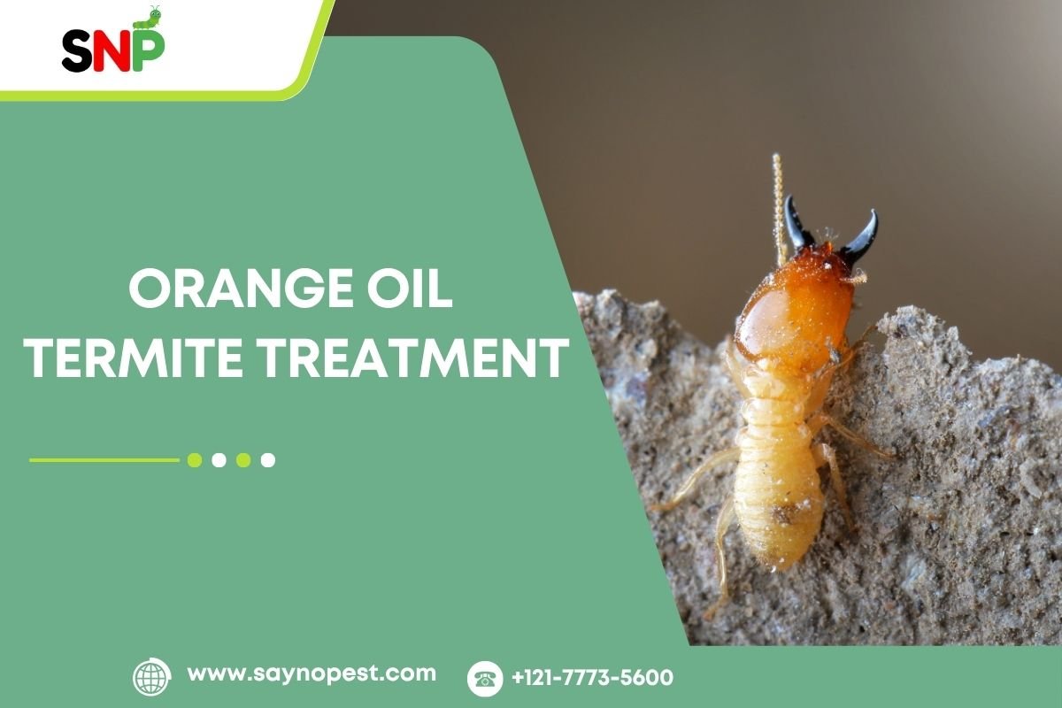 Orange Oil Termite Treatment: A Natural Solution