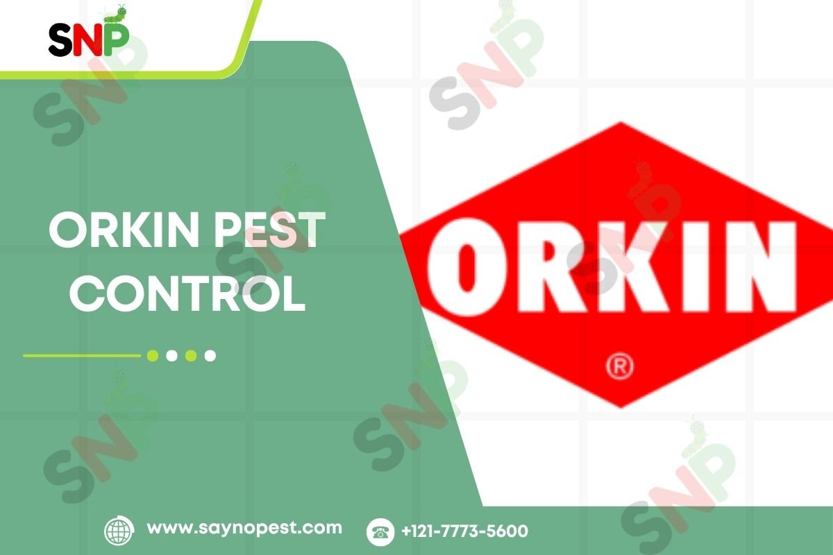 Orkin Pest Control: America’s Trusted Pest Management Leader