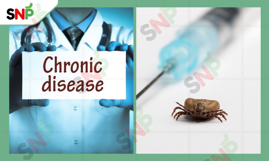 Tick-borne-diseases