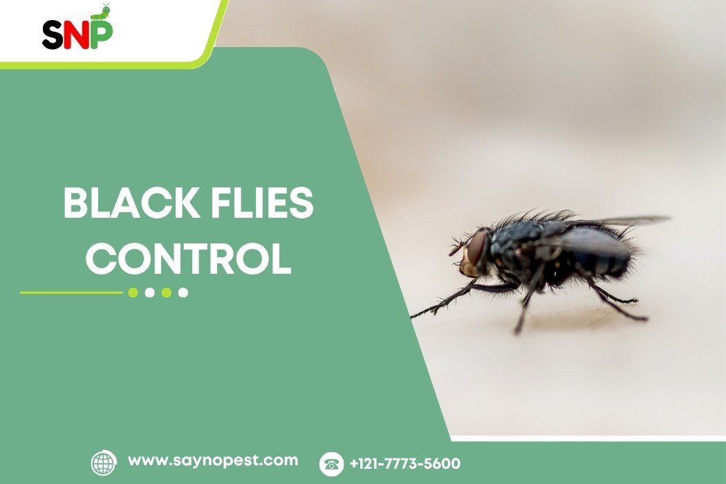 Keep Black Flies Away