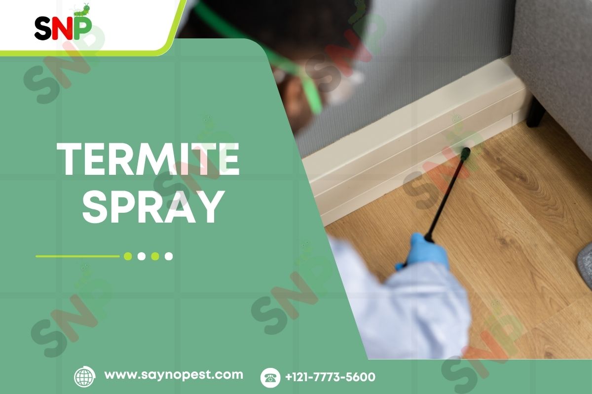 Termite Spray: Your Ultimate Guide to Wood Protection