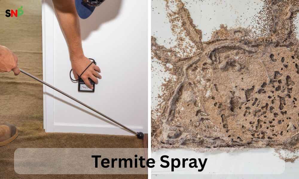 termite-spray 