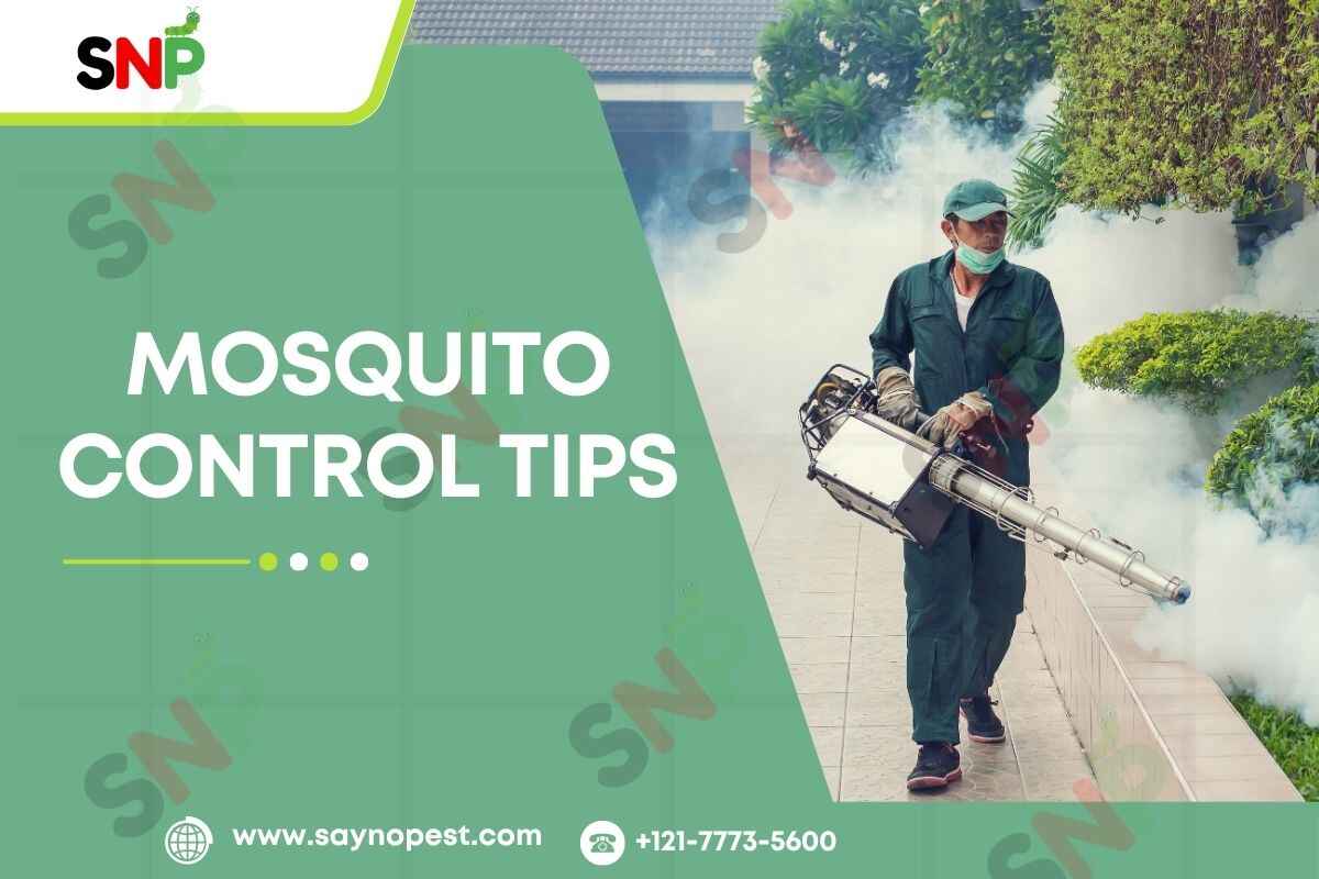Mosquito Control Tips: Get a Bite-Free Home