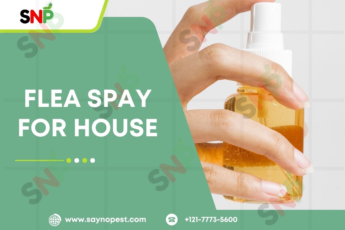 Best House Flea Sprays for 2025: Complete Reviews