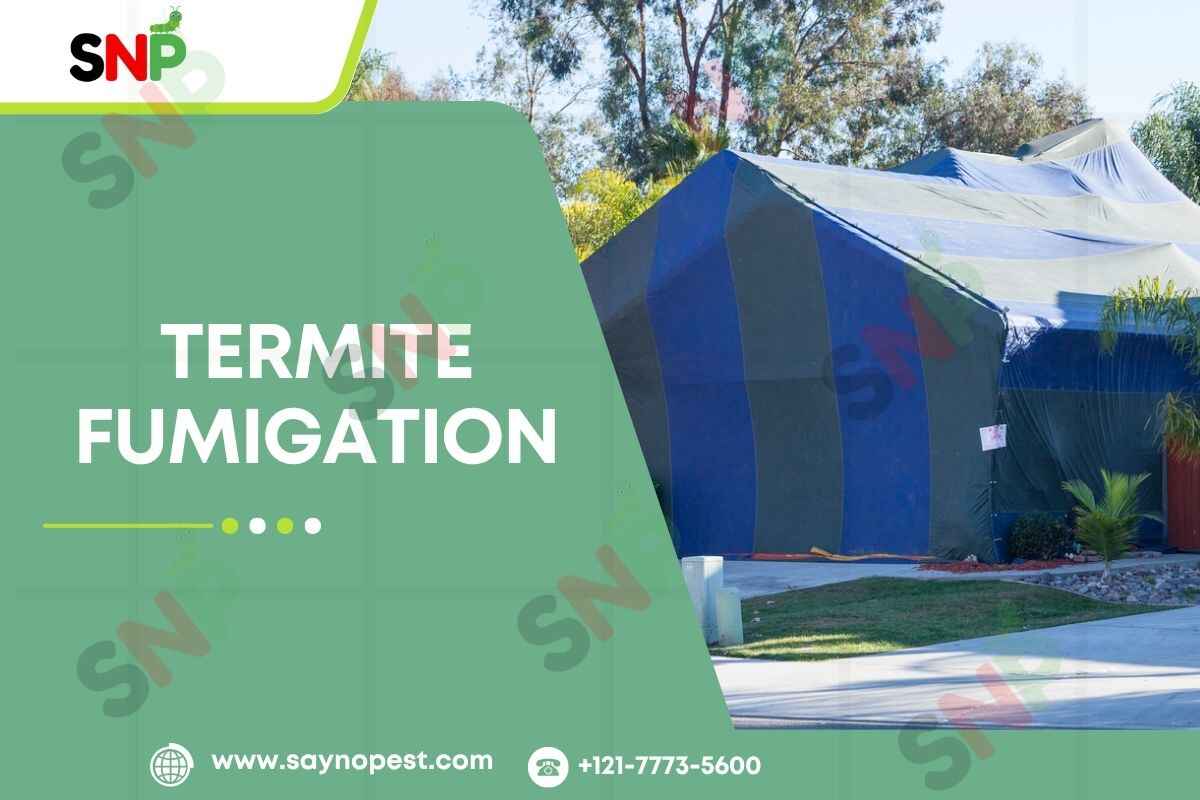 Termite Fumigation: An Essential Guide for American Homeowners