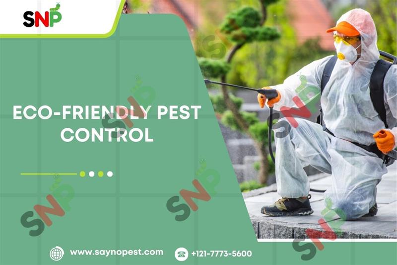 Eco-Friendly Pest Control: Are Natural Products Really Effective?