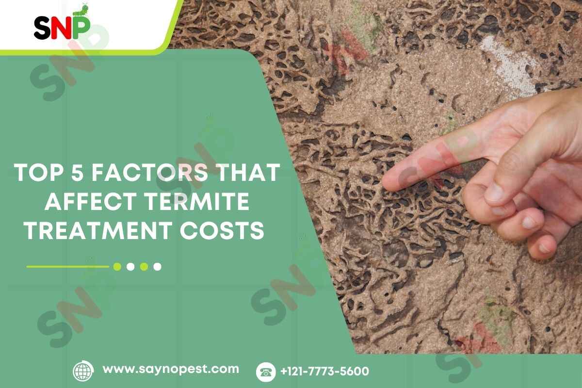 Top 5 Factors That Affect Termite Treatment Costs in the U.S. 