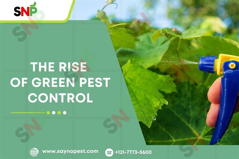 The Rise of Green Pest Control: Why More Homeowners Choose Natural Solutions