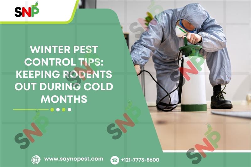 Winter Pest Control: Rodents: How to Keep them out in Colder Months.