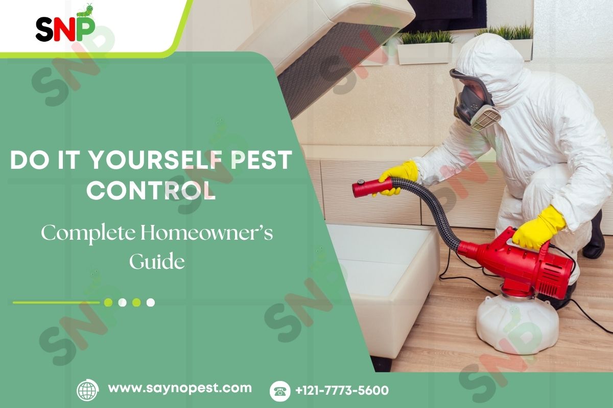 Do It Yourself Pest Control: A Complete Homeowner’s Guide
