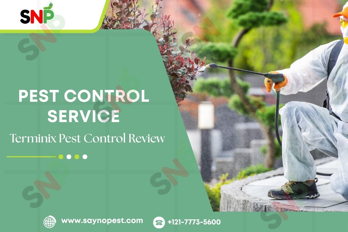 Terminix Pest Control Reviews: What Customers Are Saying