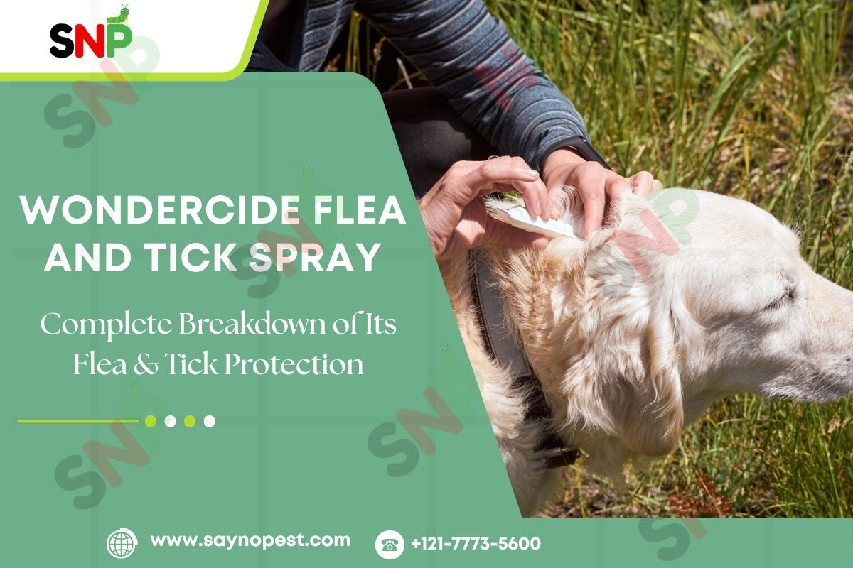 Does Wondercide Flea and Tick Spray Really Work?