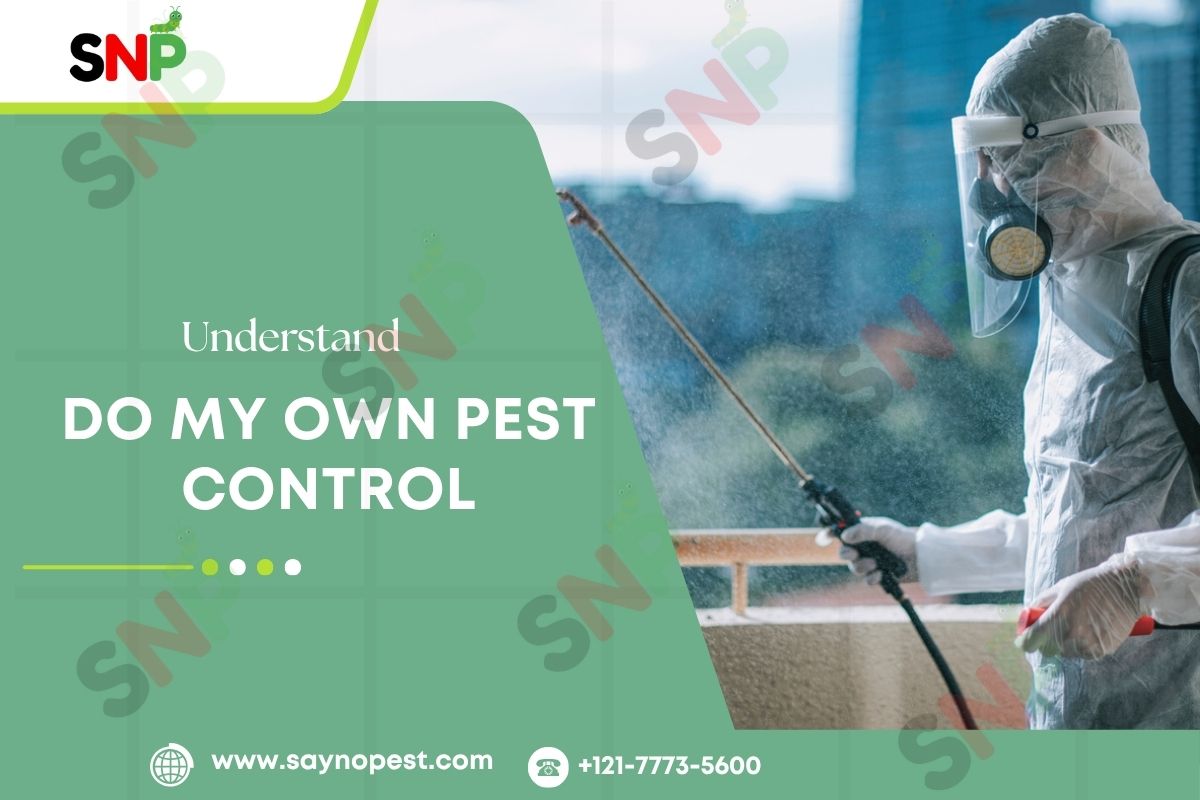 Understand Do My Own Pest Control
