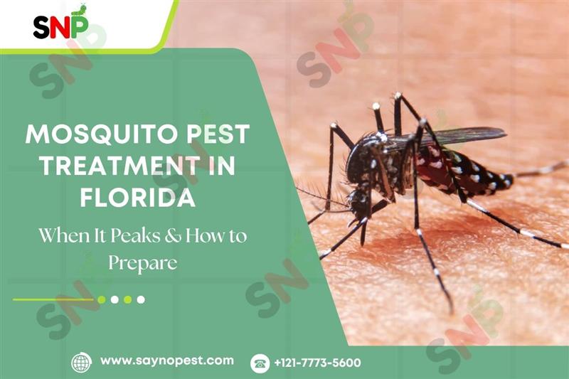 Mosquito Season in Florida: When It Peaks & How to Prepare