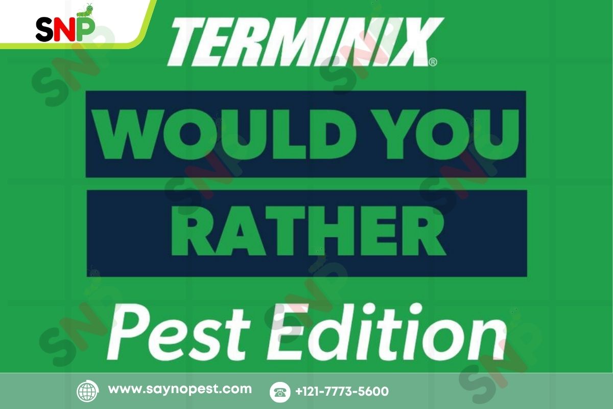 Top Signs You Need to Call Terminix for Pest Inspection