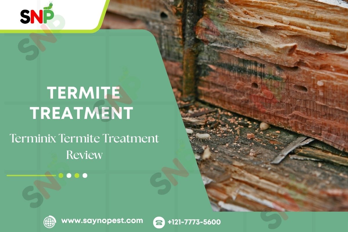 terminix termite treatment