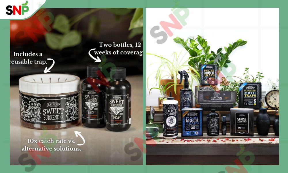 How Dr. Killigan’s Supports Eco-Friendly Living & Home Hygiene